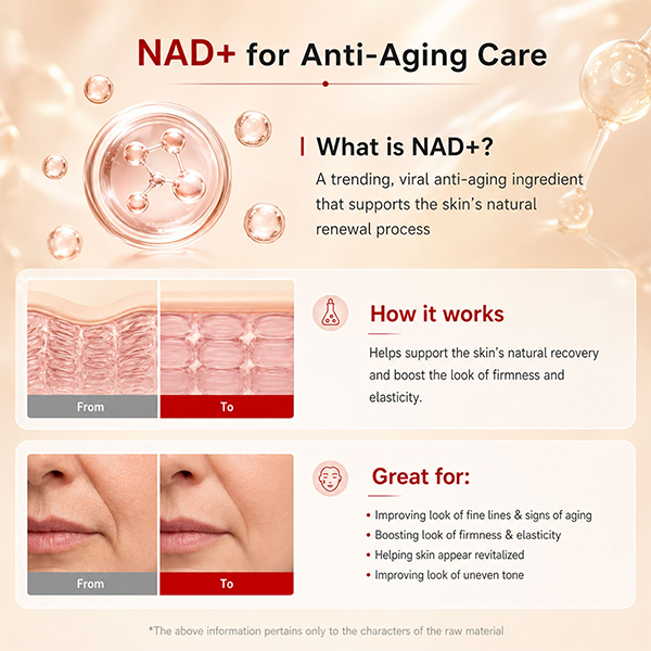 💯Korean NAD+ EGF Firming Serum